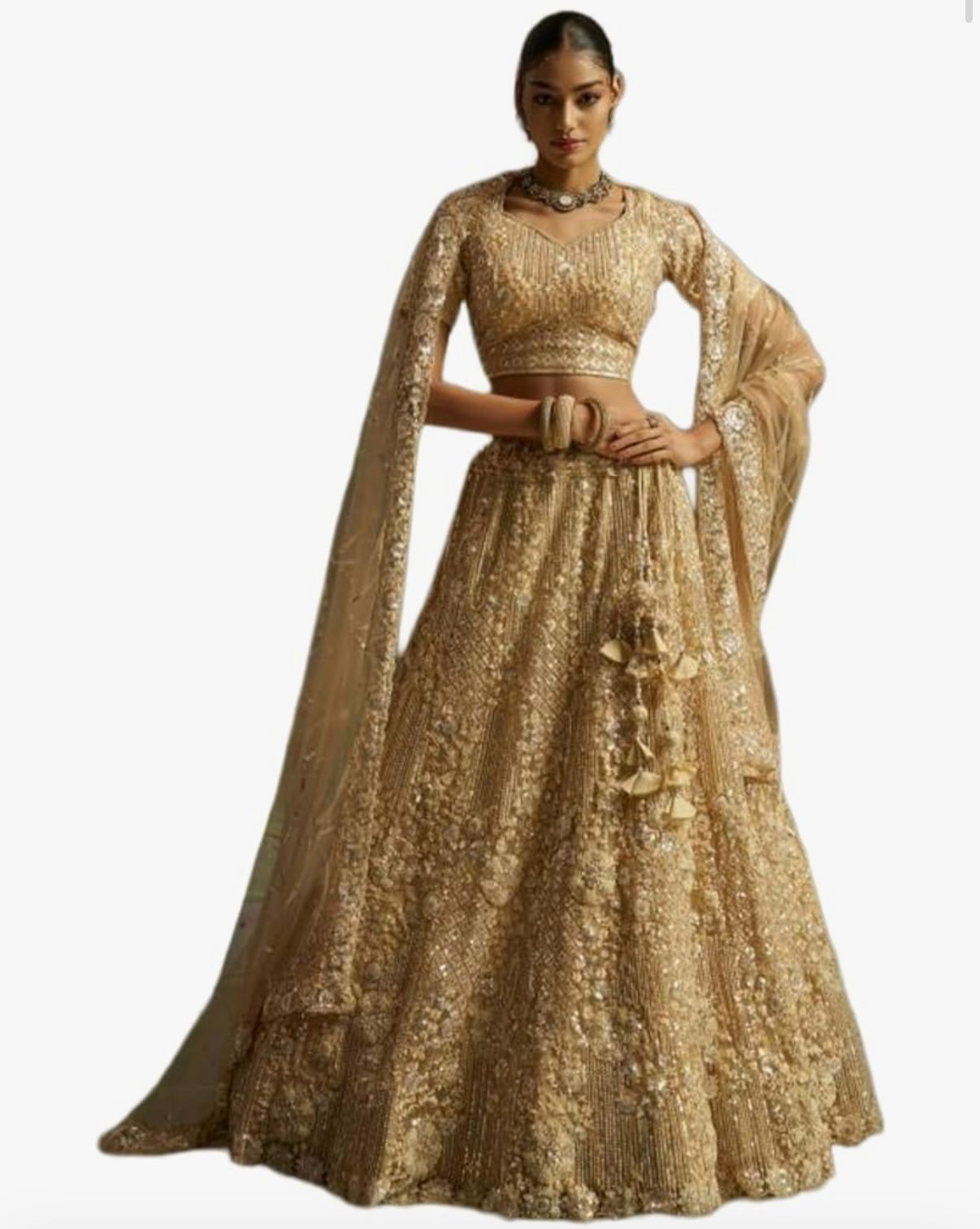 GOLD OF RA - Indian Net Fabric Dori zarkan Sequence Thread Work Party Wear Lehenga 16266